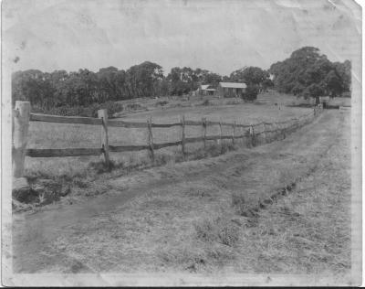Sam Issacs Farm
