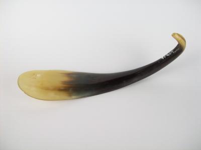 SHOE HORN
