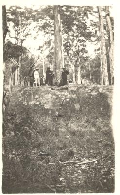 TREE IN ROCK, PORONGURUP 1920