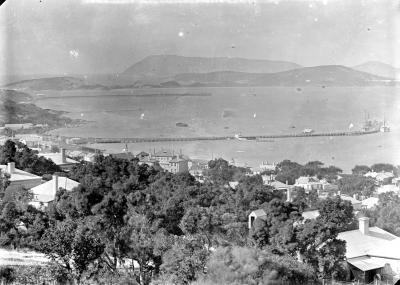 IN ITS HEYDAY, ALBANY HARBOUR c1900