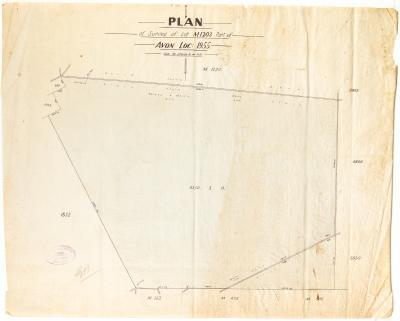 PLAN, LOT M1203 PART OF AVON LOCATION 1955