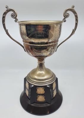 District Display Cup Trophy