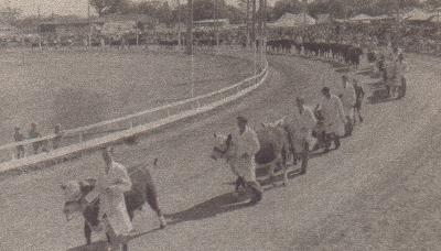 Busselton Show c1957 Grand Parade. Photo 3625  from the BHS Archive