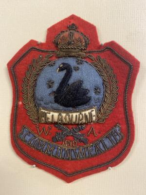 WA State team badge 1910