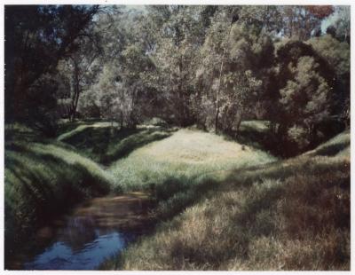 Junction of Canning and Southern Rivers