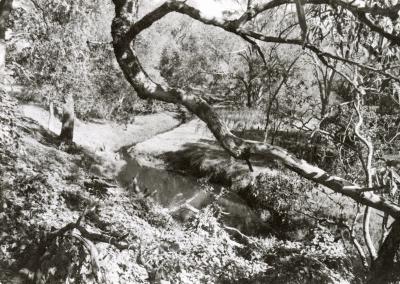 Maddington Park Homestead view of the Canning River