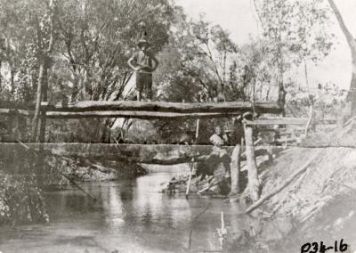 Private bridge on Southern River