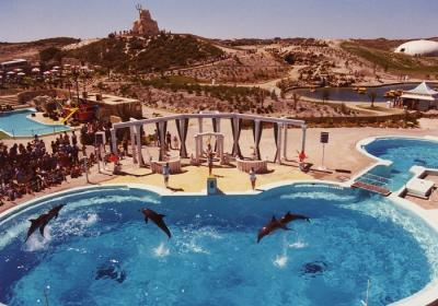 Dolphin pool - Atlantis Marine Park 