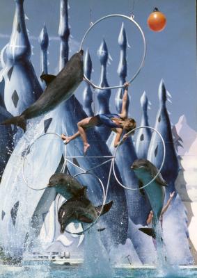 Diane Dickerson performing the quadruple trapeze hoop jump - Atlantis Marine Park