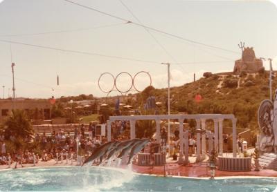 Dolphin show photographic collection - Atlantis Marine Park 