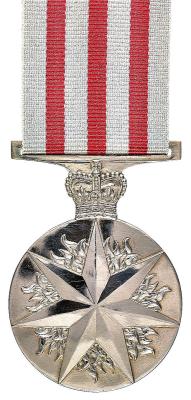 Distinguished Service Medal