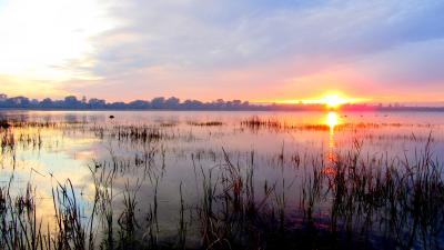 Sunrise at Forrestdale Lake