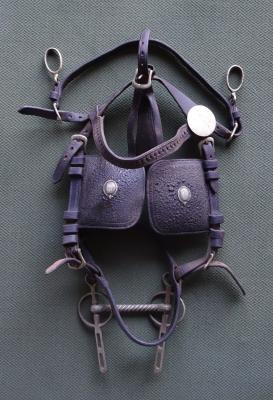 Bullock harness