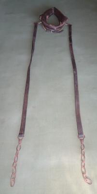 Full length view of reins, hames and collar