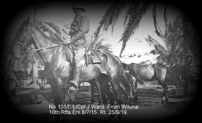 World War 1, Australia, Western Australia, WARD, 10 Light Horse