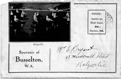 Postcard Souvenir of Busselton W.A.