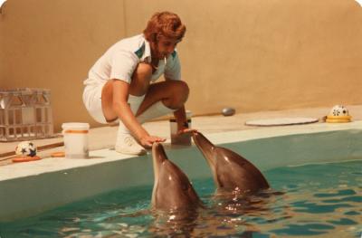 Dolphins in Residence - Atlantis Marine Park