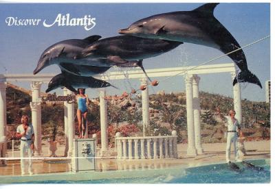Discover Atlantis Postcard - Atlantis Marine Park