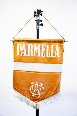 CWA of WA Parmelia Division Banner