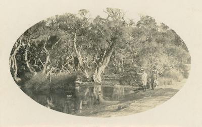 Butlers Swamp 1921