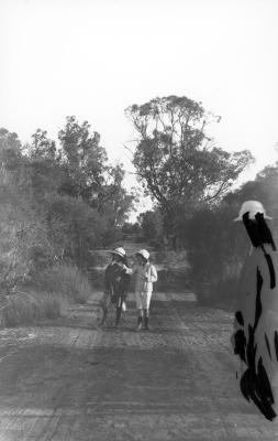 GLASS NEGATIVE BUTLER'S SWAMP