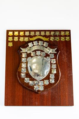 Eastern Section Exhibition Handicraft Shield