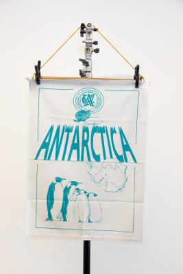 CWA of Victoria Tea Towel (Antarctica)