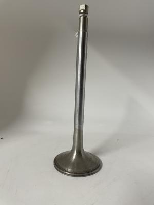 Valve from H.M.A.S. Swan Dive Wreck
