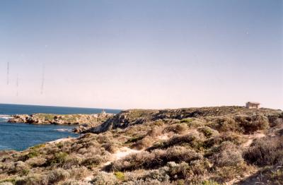 Western Australia. Rottnest Island. Unidentified.