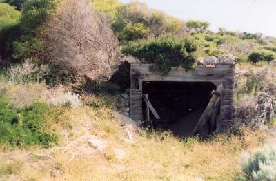 Western Australia. Rottnest Island. Unidentified.