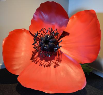 In the sands of our remembrance, grows the soul of our nation (Poppy sculpture)