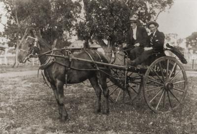 Podger And Meakins Milk Cart