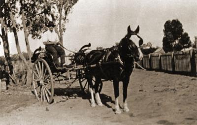 Podger And Meakins Milk Cart