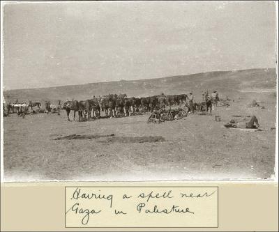 World War 1, South-West Asia, Sinai,  Gaza, 10 Light Horse, 1917