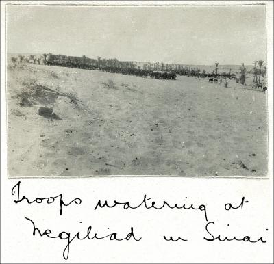 World War 1, South-West Asia, Sinai, Negiliad, 10 Light Horse, 1917