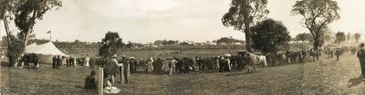 Perth Royal Show 1905