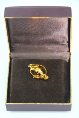 Atlantis Marine Park Souvenir Dolphin Pin