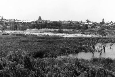 Infilling Butler's Swamp To Form Lake Claremont