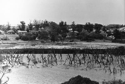 Infilling Butler's Swamp To Form Lake Claremont