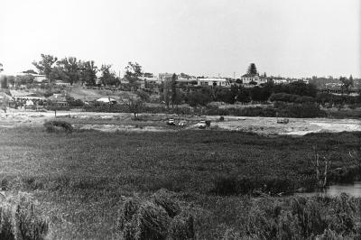 Creating A Lake And Golf Course From Butler's Swamp