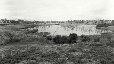 Butler's Swamp From Alfred Road Before Infill