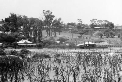 Butler's Swamp East Towards Elliott Road