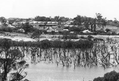 Butler's Swamp East Towards Elliott Road