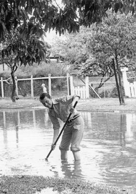 Flooding In Walter Street, Claremont