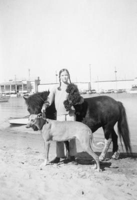 Pony And Dogs On Claremont Baths Foreshore