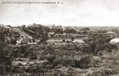 Scotch College And Grounds