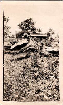 Prosser Home in Greenbushes