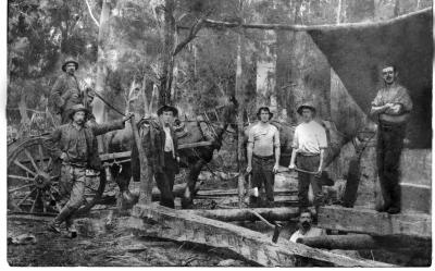 BRIDGE BUILDING TEAM, BOW RIVER BRIDGE SAW PIT, 1911