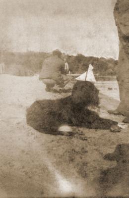 Max The Dog, Freshwater Bay