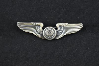 United States Army Air Force Aircrew Members Badge